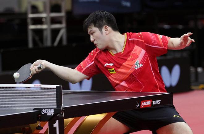 内对多种因 内对多种因