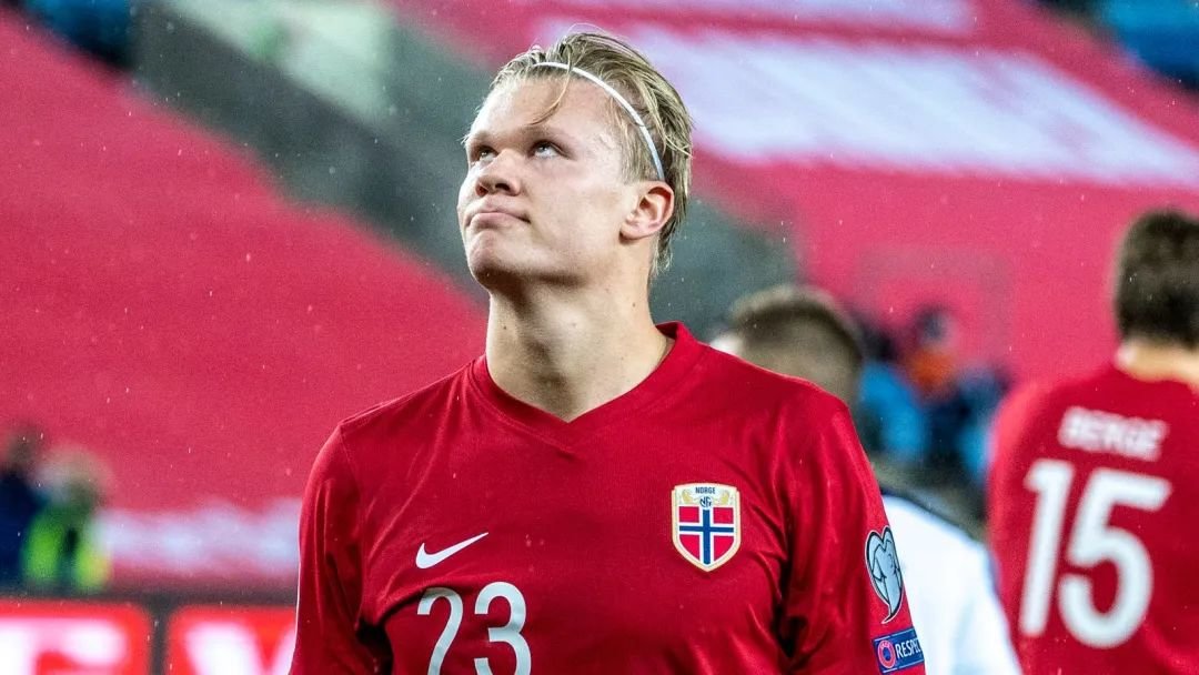 进而影响整 进而影响整